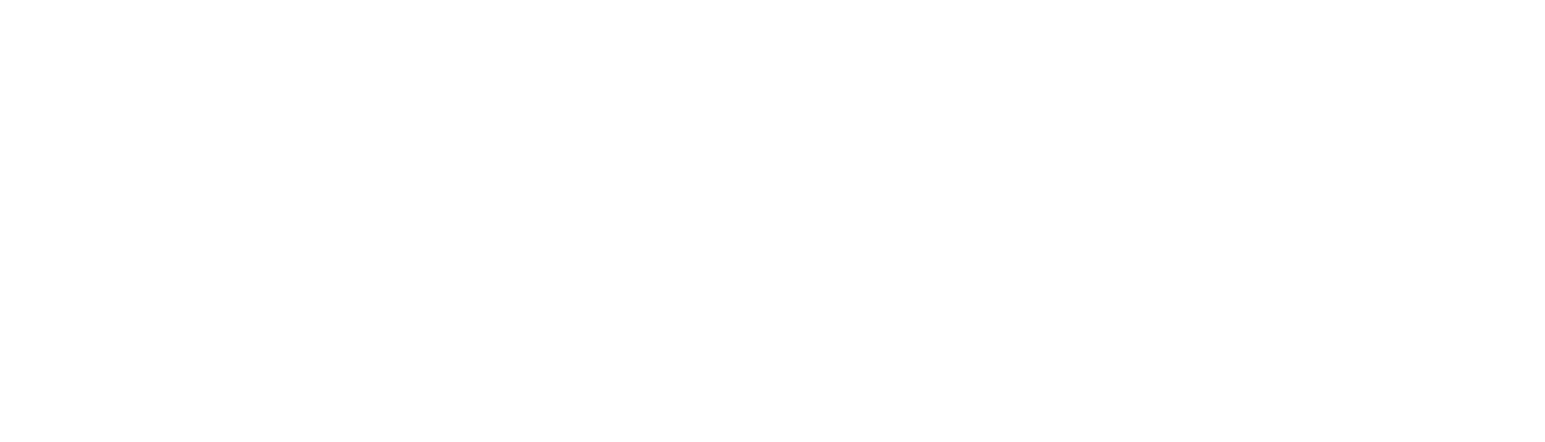 Bic Logo Negative